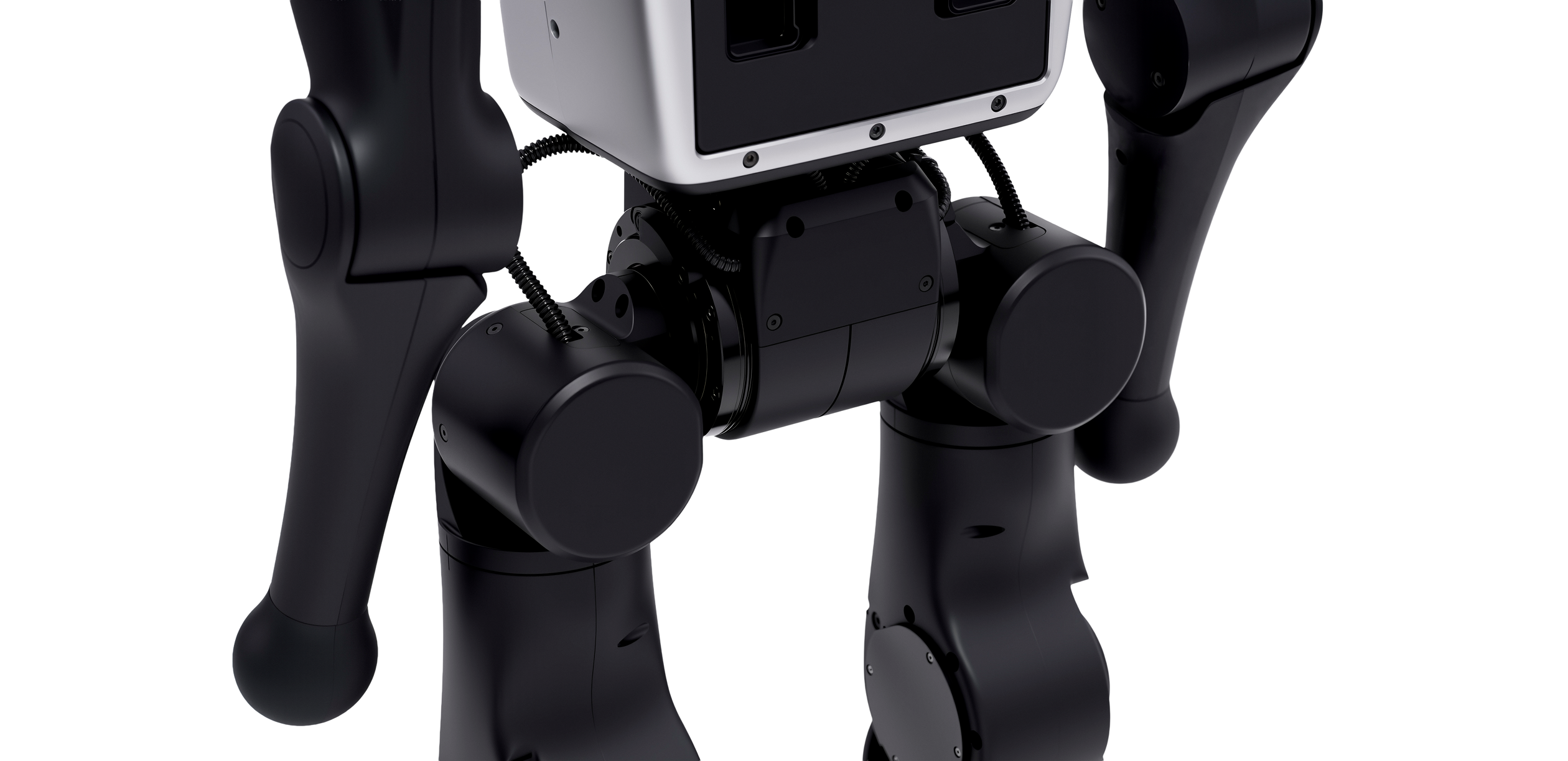 Close-up of the FF Master Mini hip and leg joints