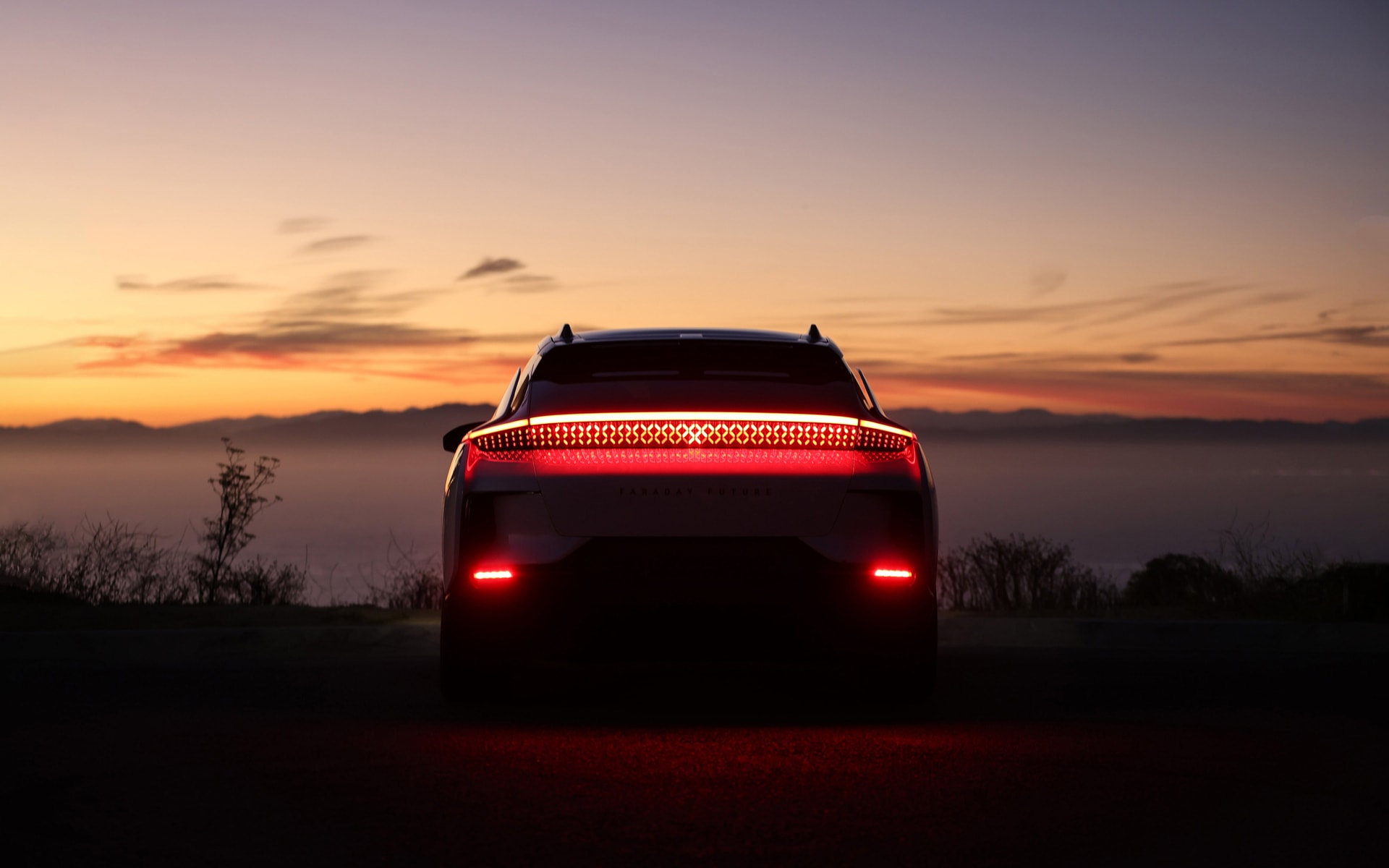 Experience a New Species | Faraday Future